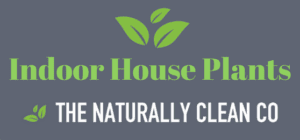 indoor house plants