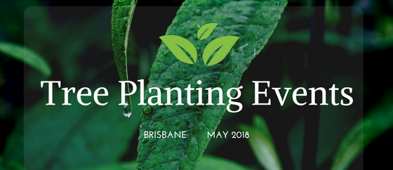 Tree Planting Events In Brisbane- May