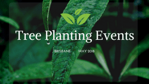 events in brisbane