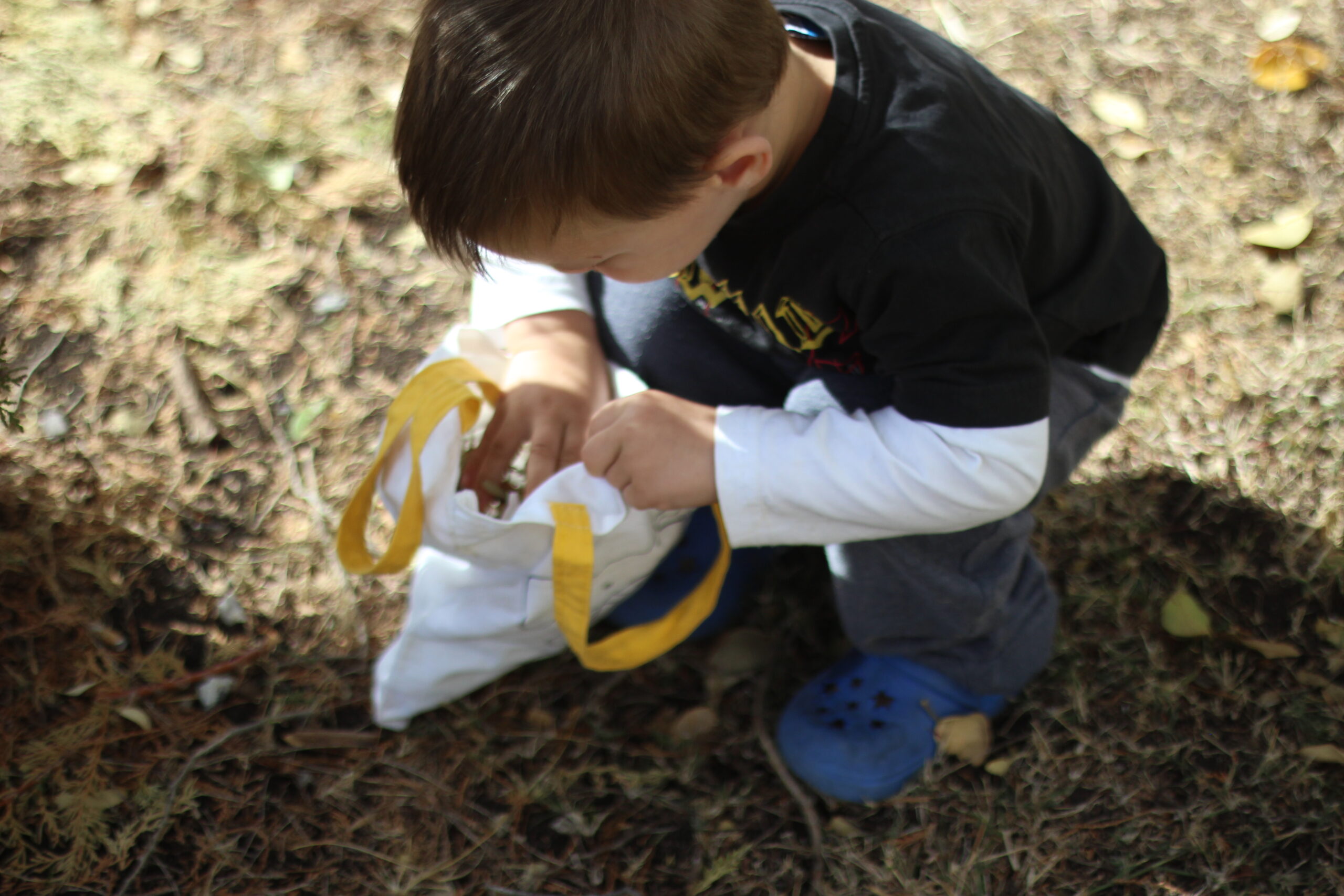 Natural sensory activities