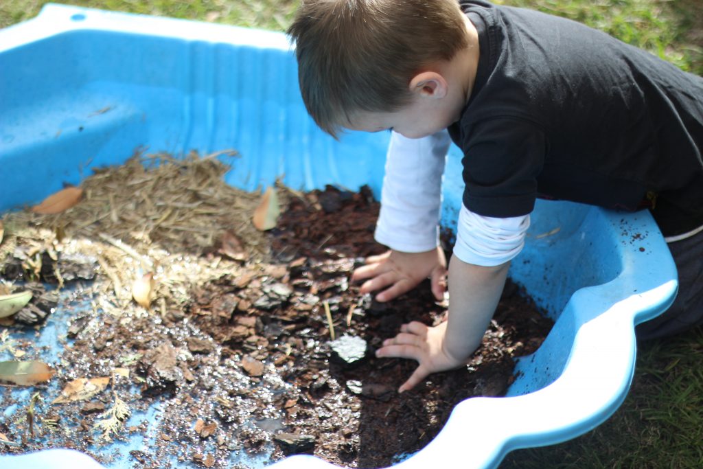 Natural sensory activities