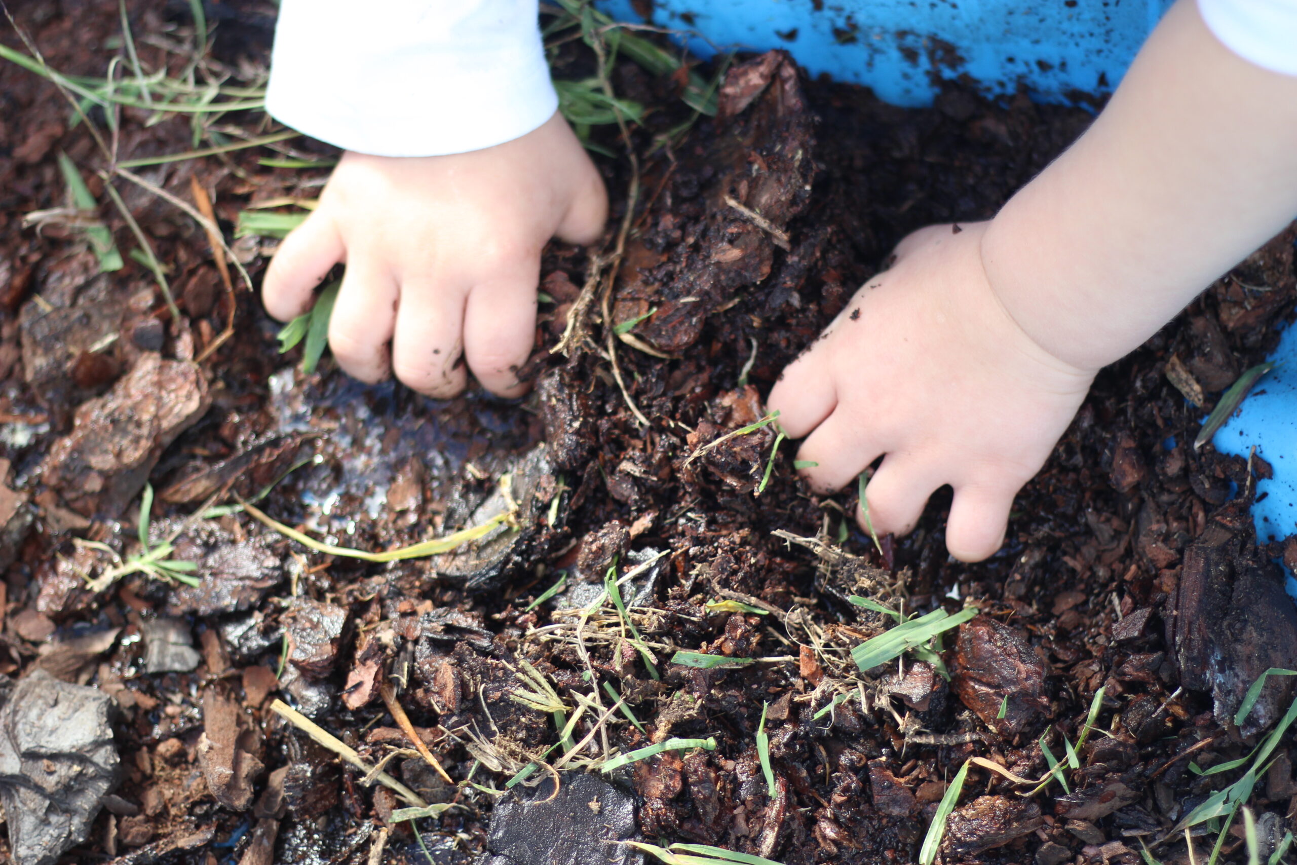 Natural sensory activities