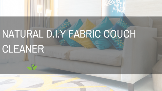 Natural DIY Fabric Couch Cleaner