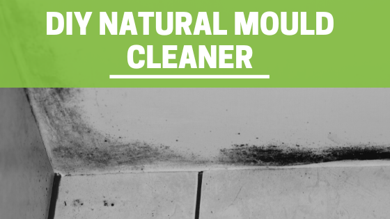 DIY natural Mould Cleaner