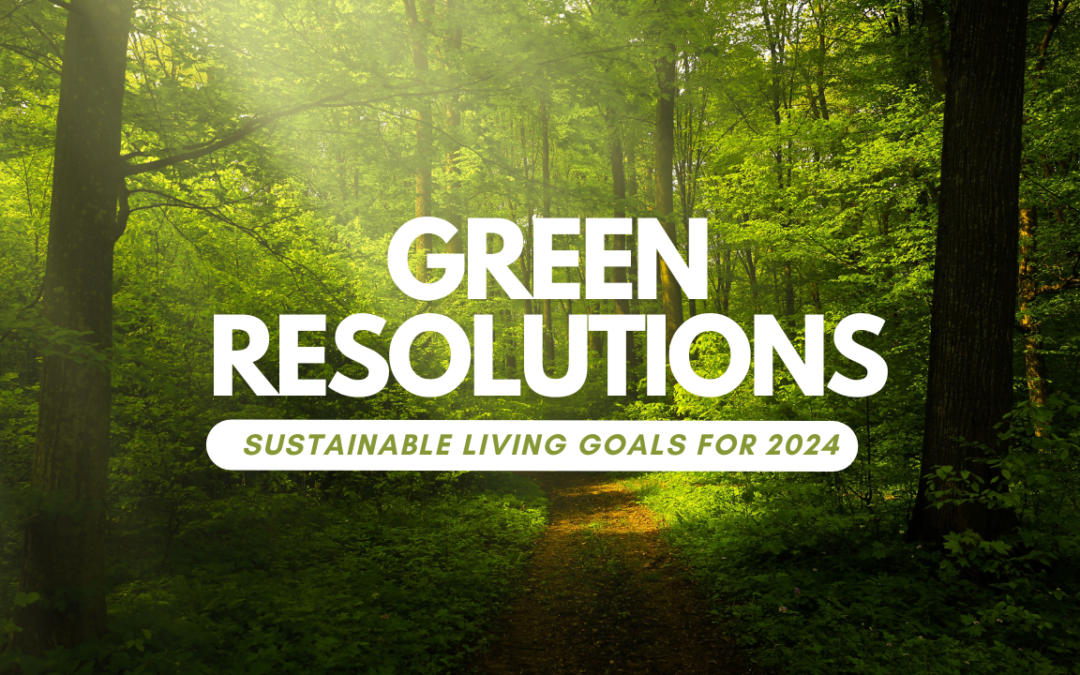 Green Resolutions: Sustainable Living Goals for 2024