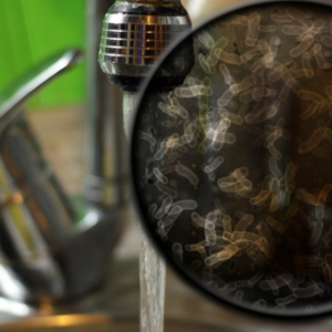 bacteria on kitchen tap